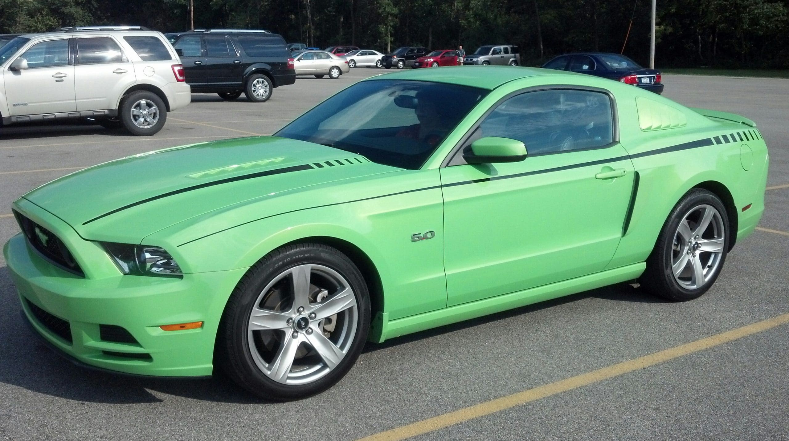 Gotta Have it Green 2013 Ford Mustang