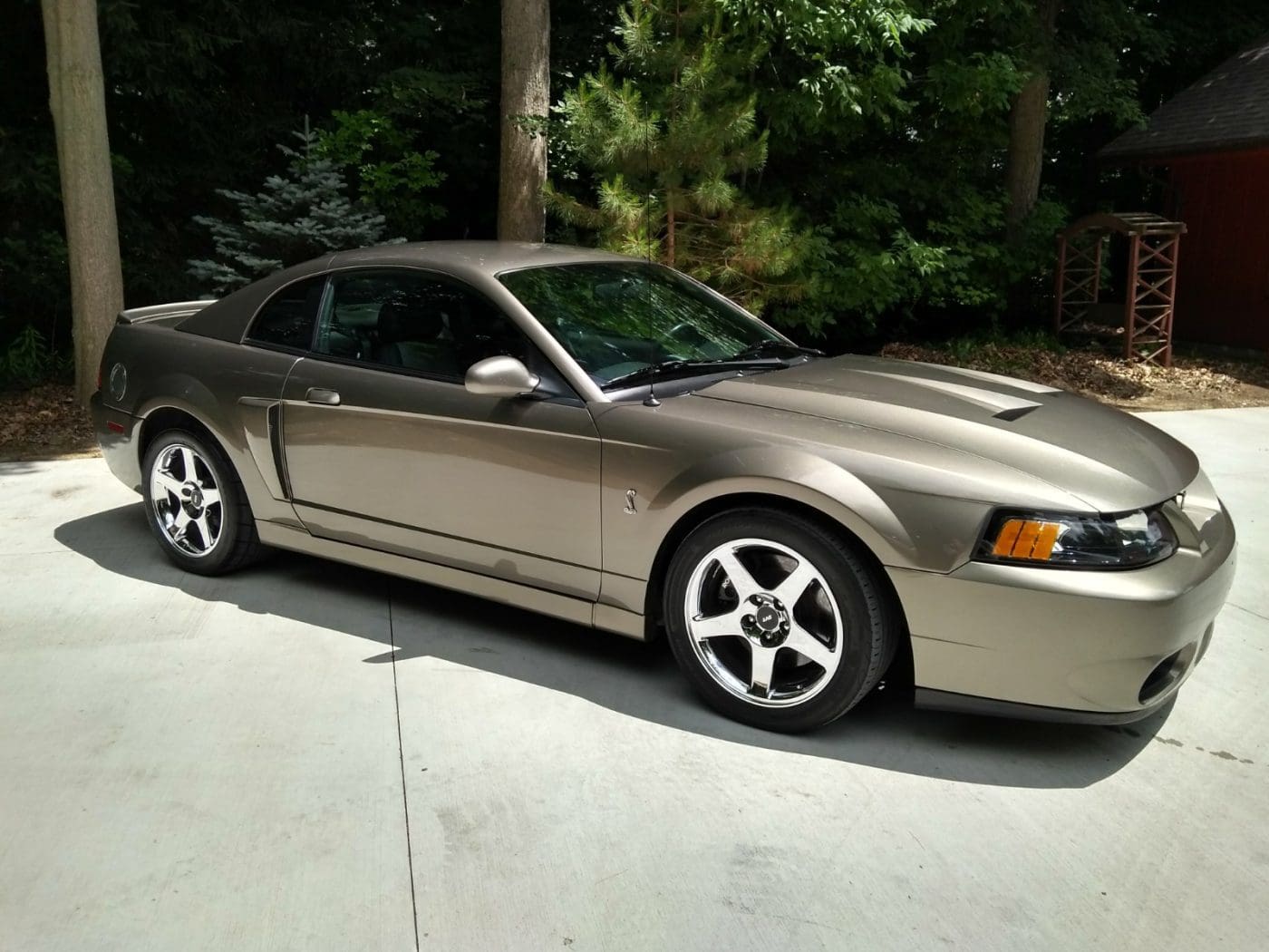 Mineral Gray 2003 Ford Mustang