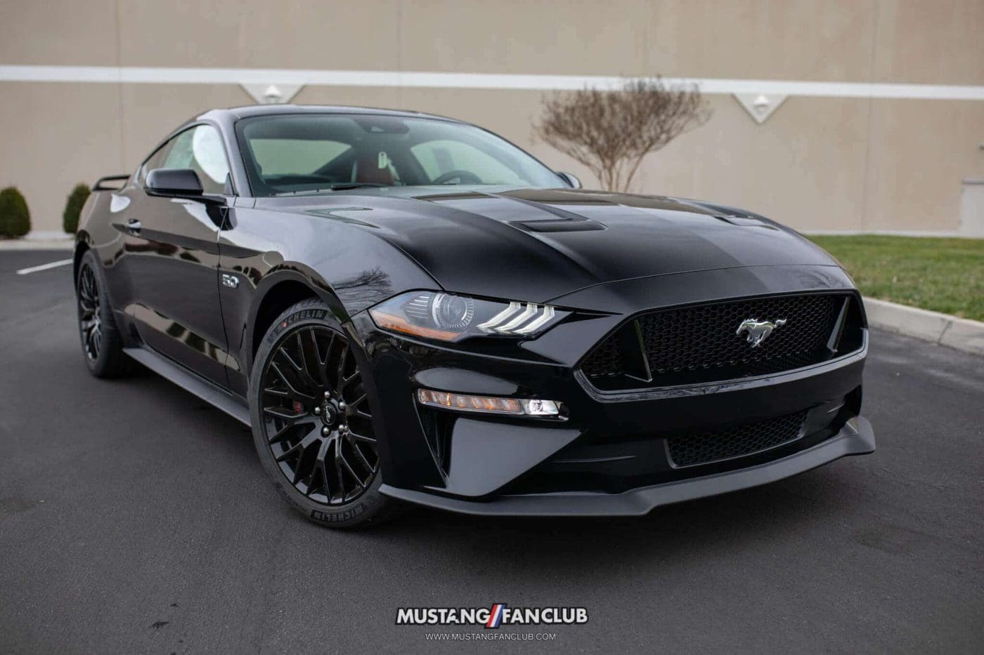 Shadow Black 2018 Ford Mustang