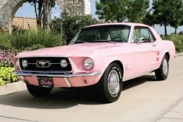 Pink Mustangs