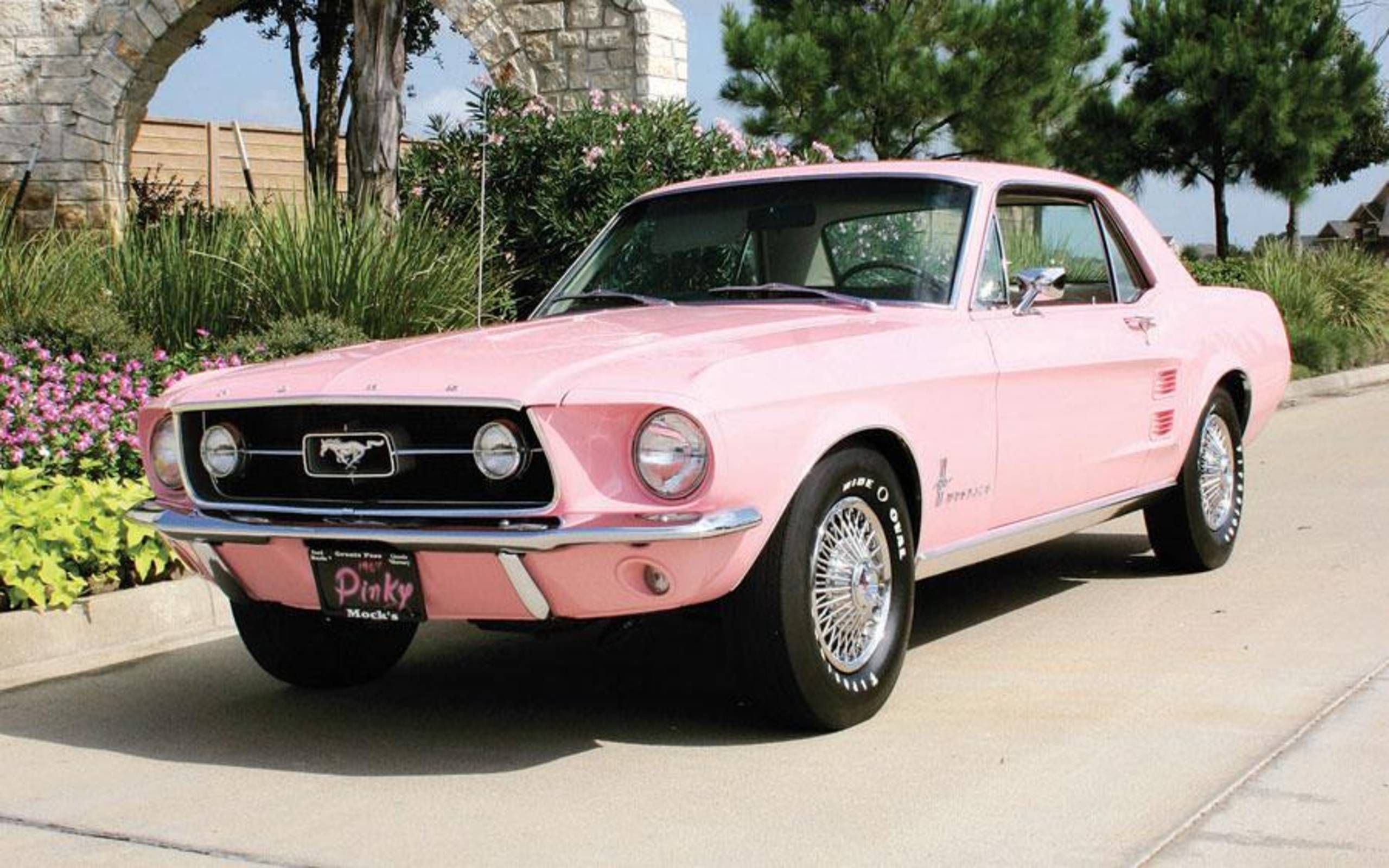 Pink Mustang Colors - The Ultimate Guide
