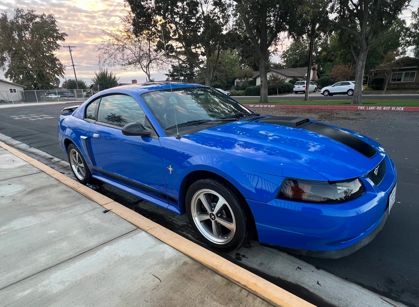 Azure Blue 2004 Ford Mustang