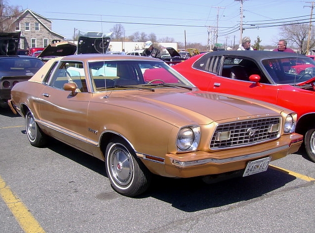 Medium Copper (Chestnut) 1974 Ford Mustang
