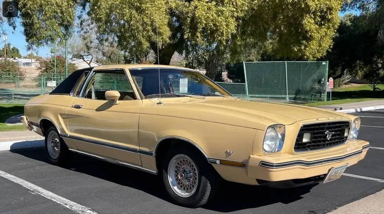 Chamois 1978 Ford Mustang