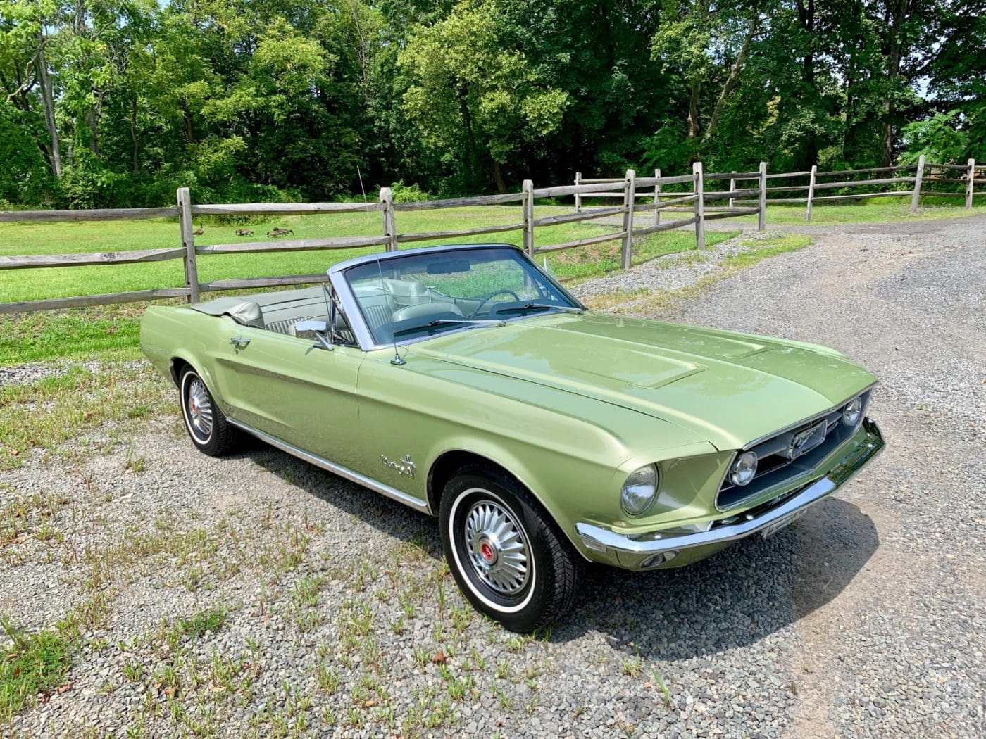 Lime Gold 1968 Ford Mustang