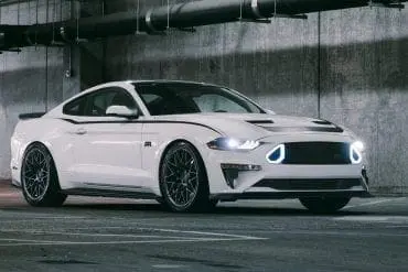 White Mustang Colors