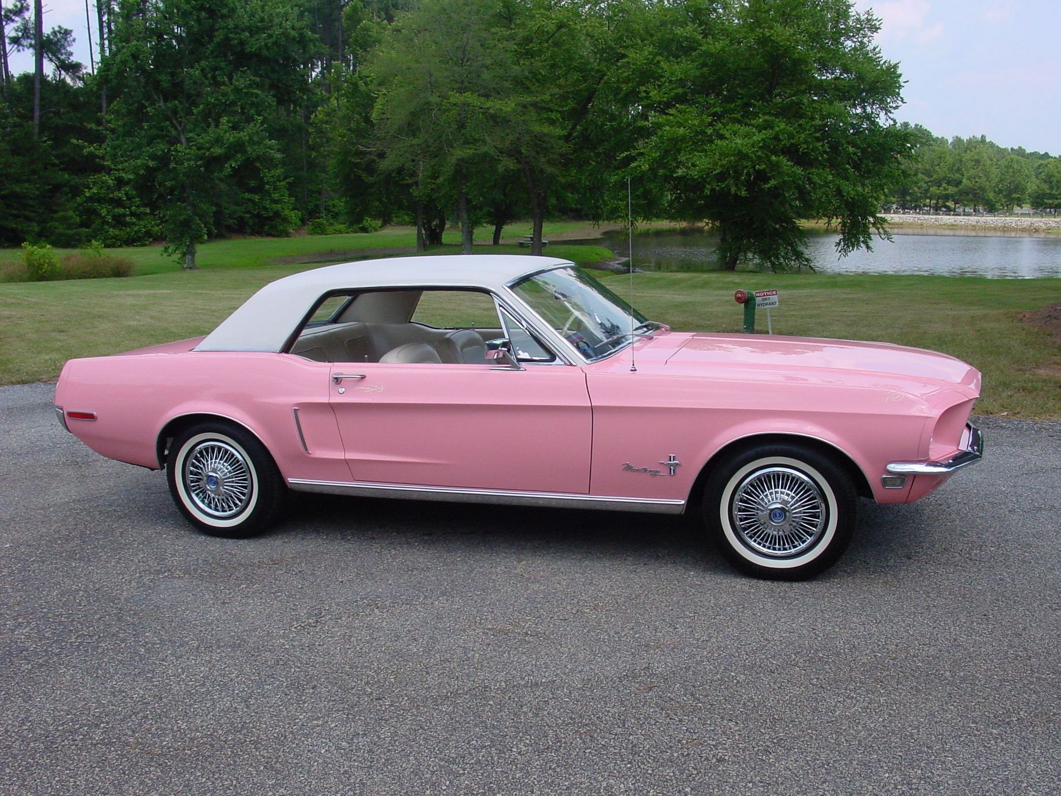 Pictures of 1965 Mustangs in Playboy Pink color scheme. 