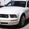 Performance White 2008 Ford Mustang