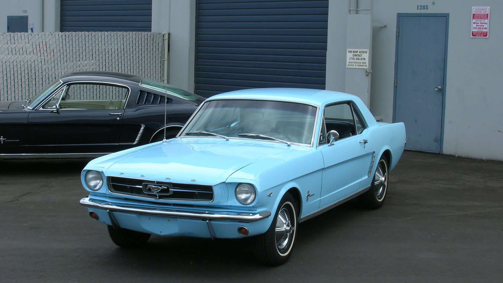 Skylight Blue 1964 Ford Mustang