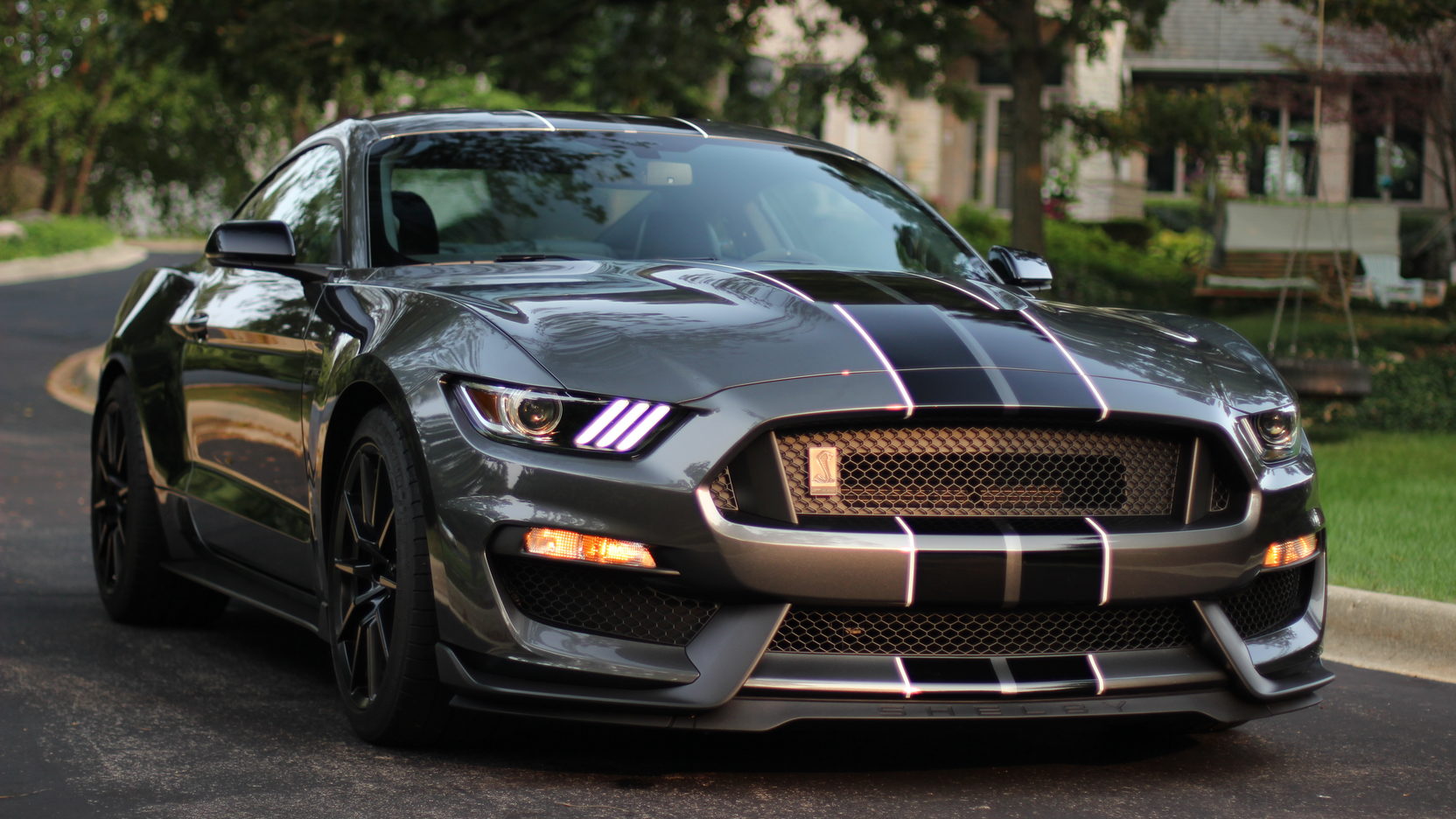 Magnetic 2016 Ford Mustang