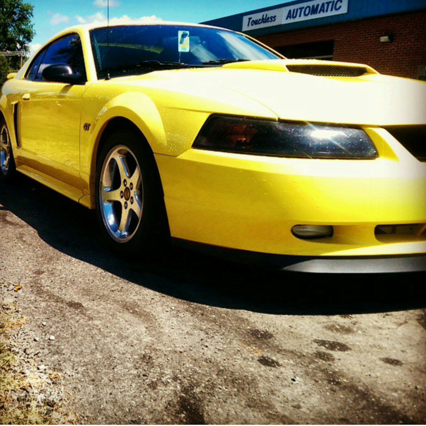 Zinc Yellow 2000 Ford Mustang