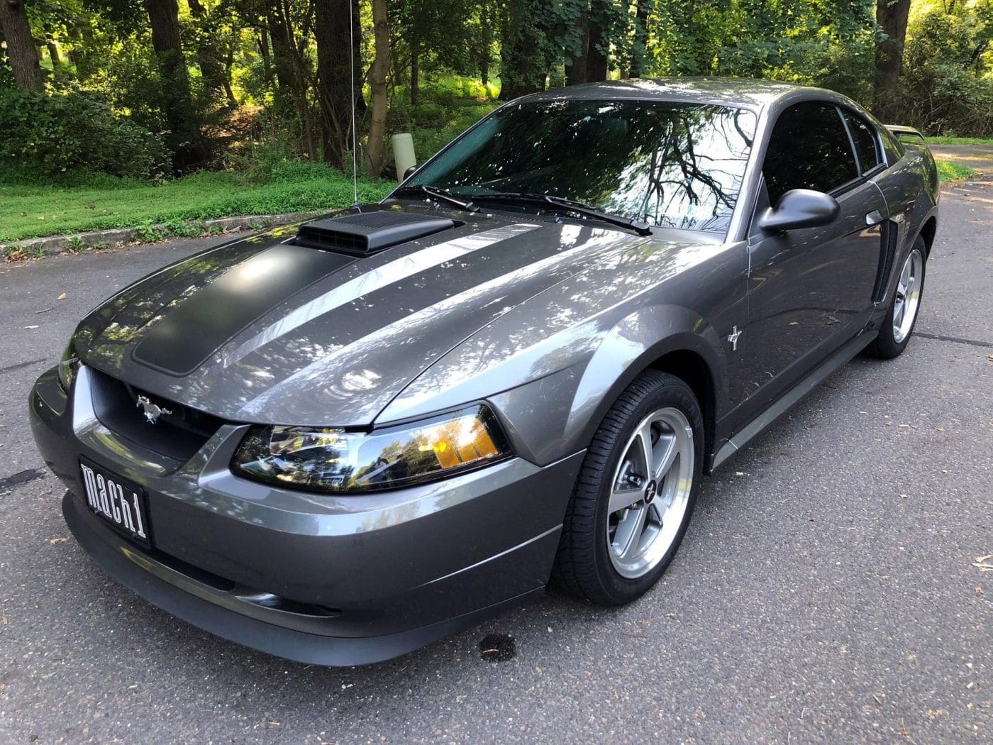 Mineral Gray 2003 Ford Mustang