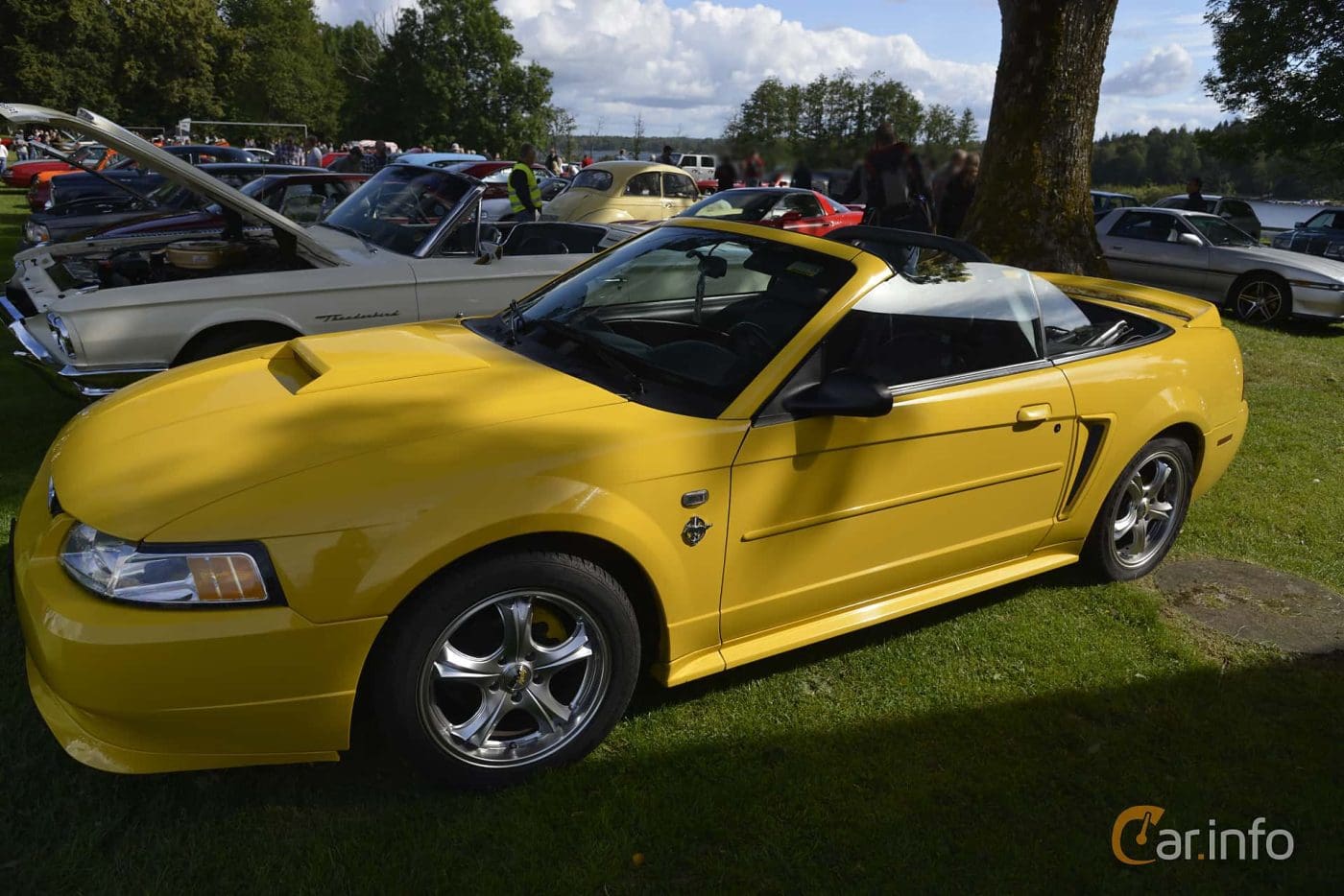 Zinc Yellow 2003 Ford Mustang