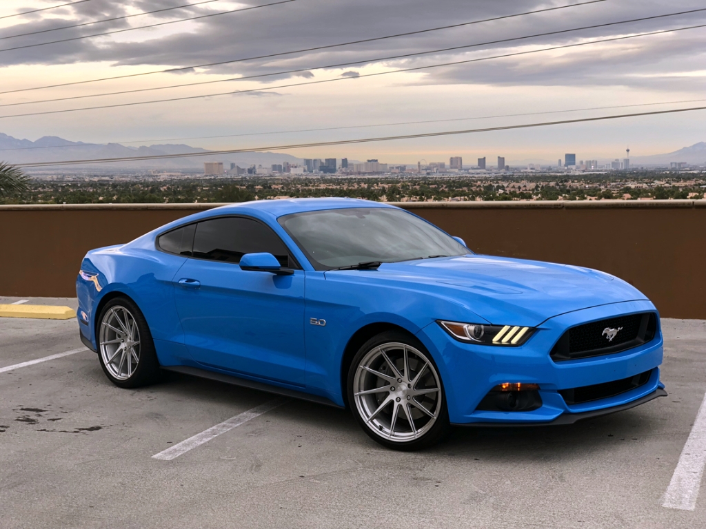 2025 Mustang Dark Horse Grabber Blue For Sale Near Me Dulcia Nonnah