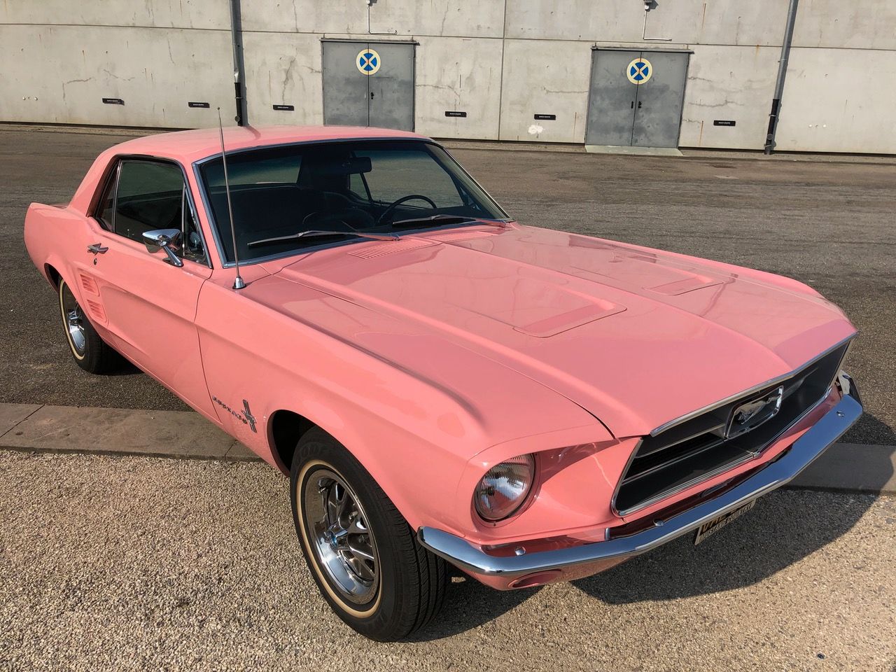 Caribbean Coral 1969 Ford Mustang