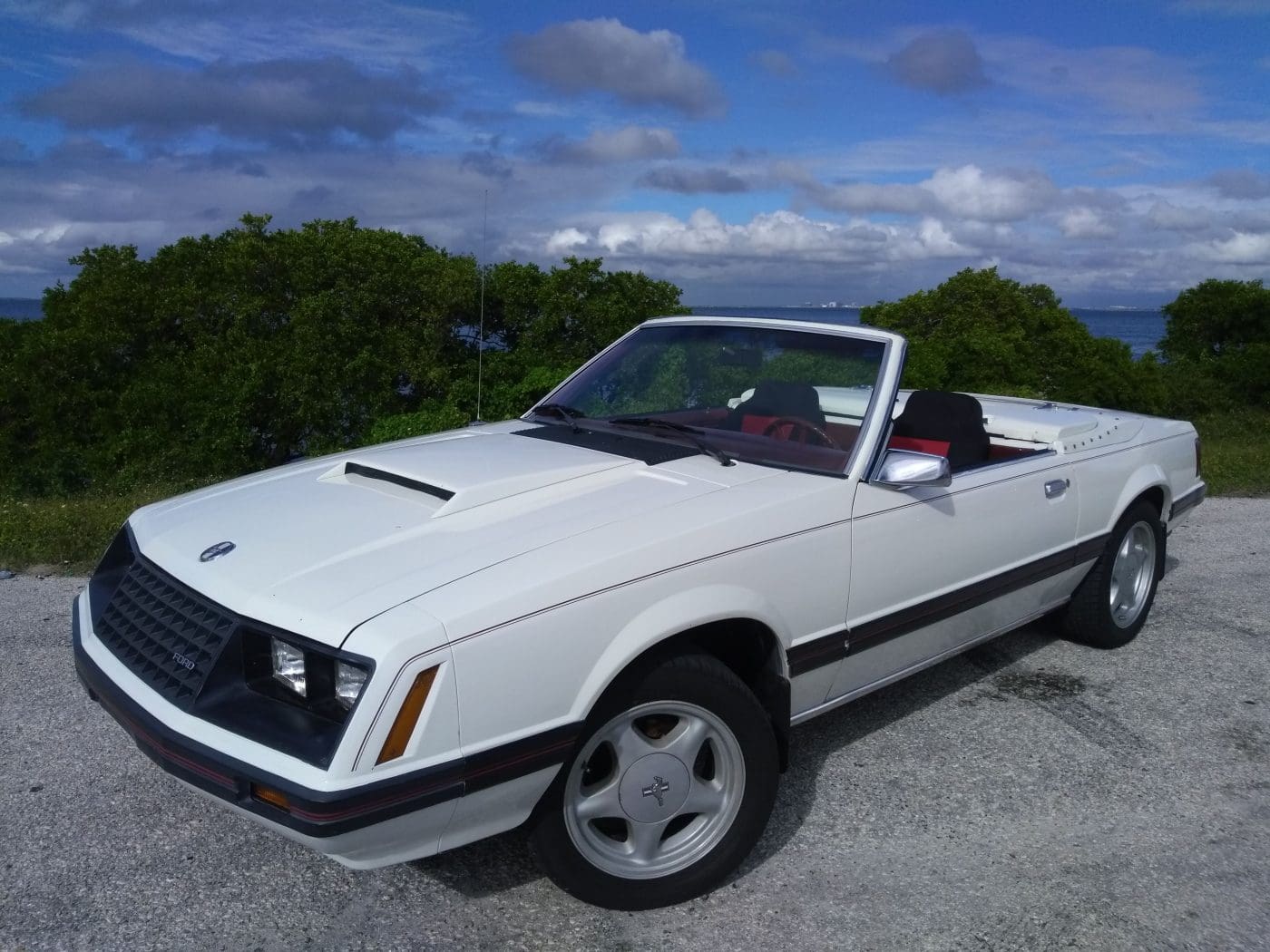 Polar White 1982 Ford Mustang