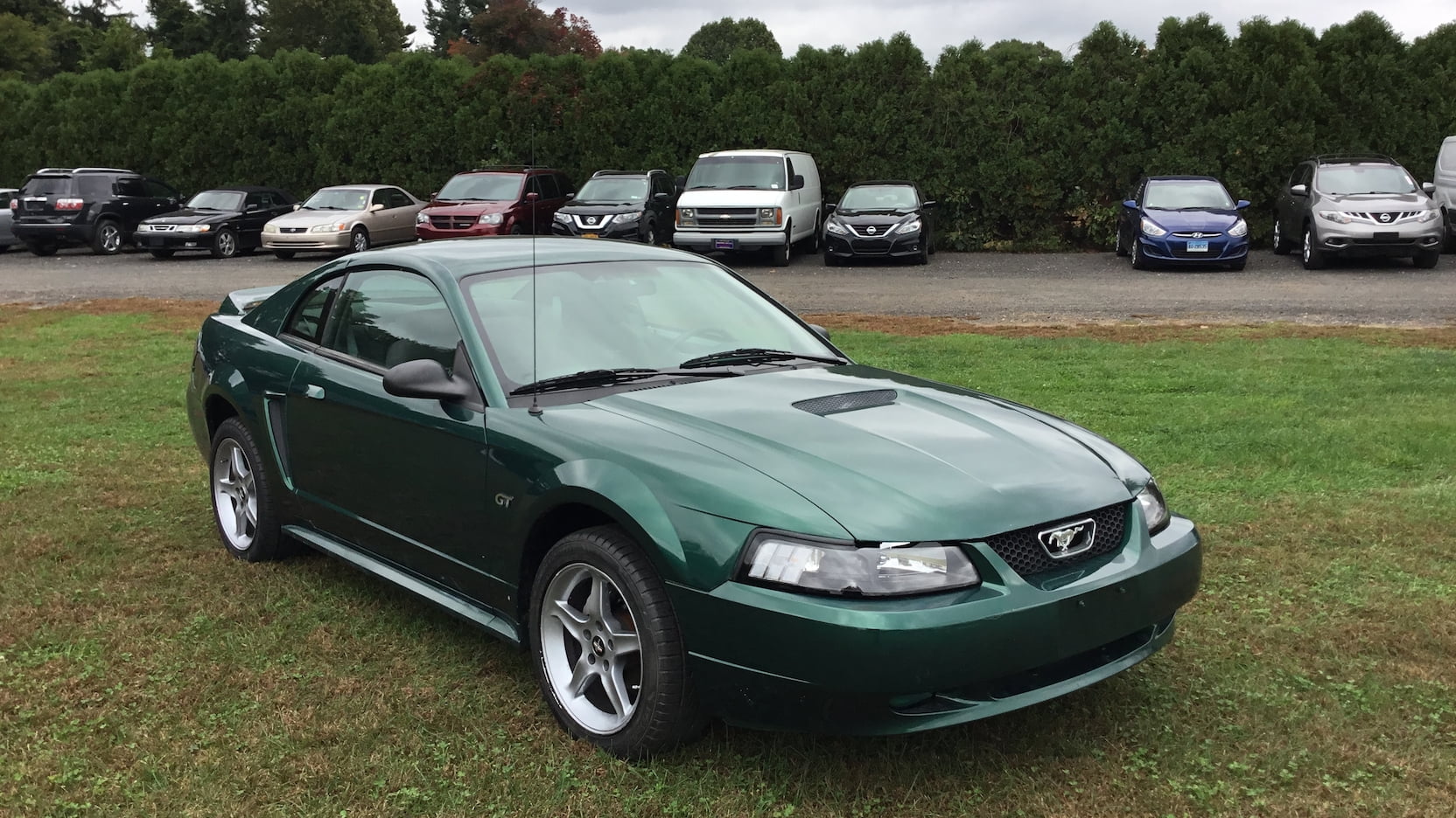 Electric Green 2000 Ford Mustang