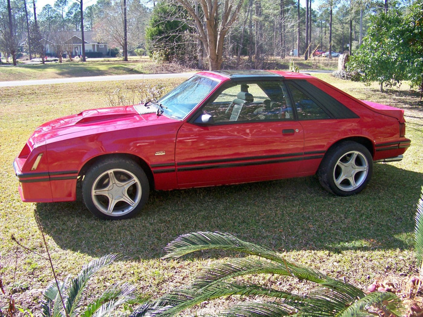 Bright Red 1982 Ford Mustang