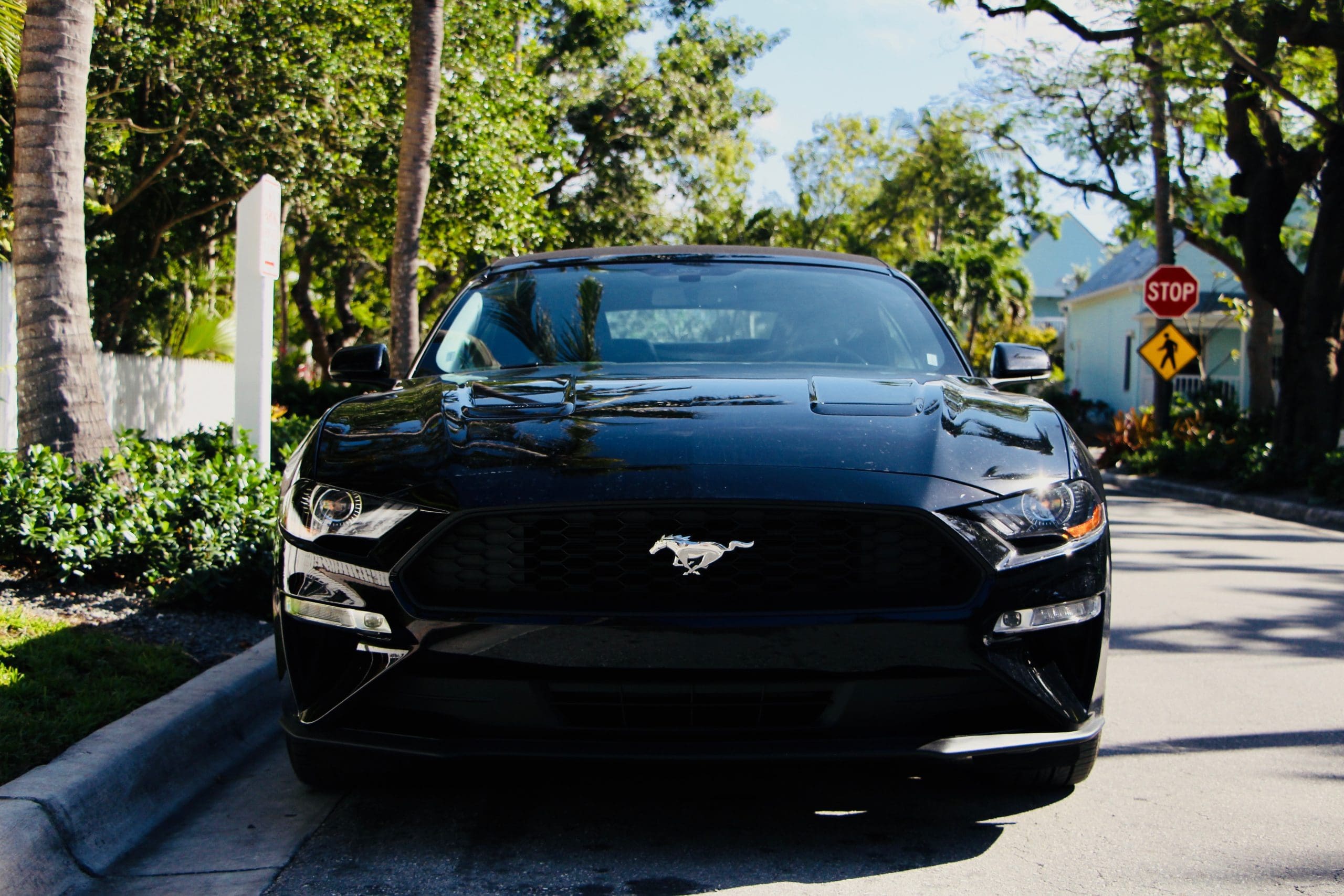 Canada Sales Mustang