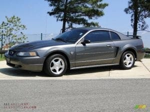 DalenaHenriques-2013FordMustang (3)