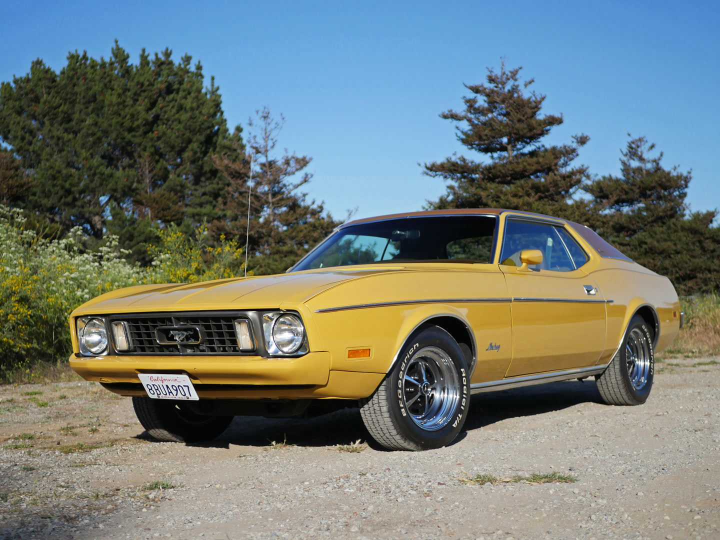 1973 Ford Mustang Grande