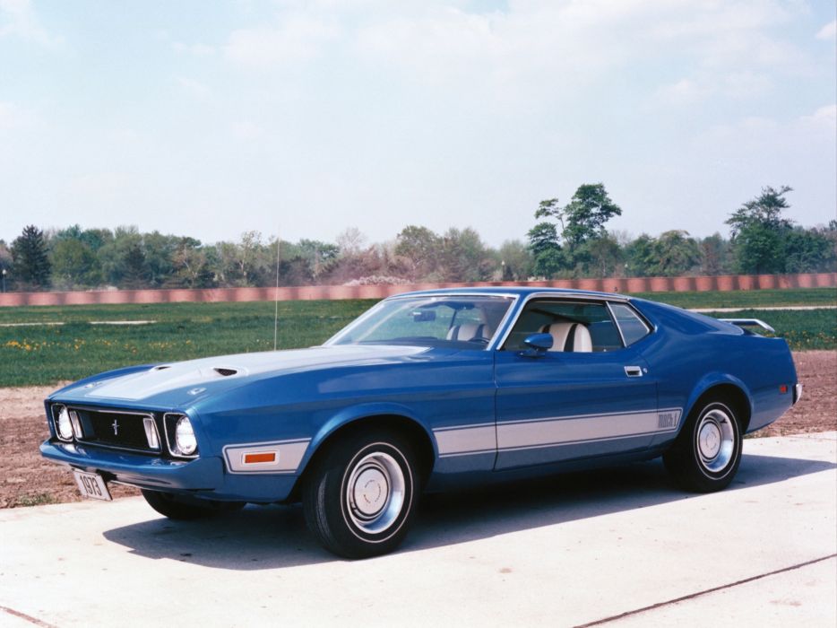 1973 ford mustang research