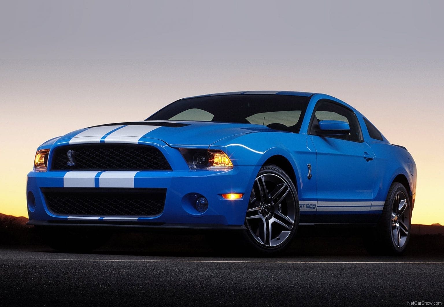 Double Bande De Course (racing Stripes) Pour Ford Mustang Shelby GT500 2010-2014 - Vinyle - 21,5"