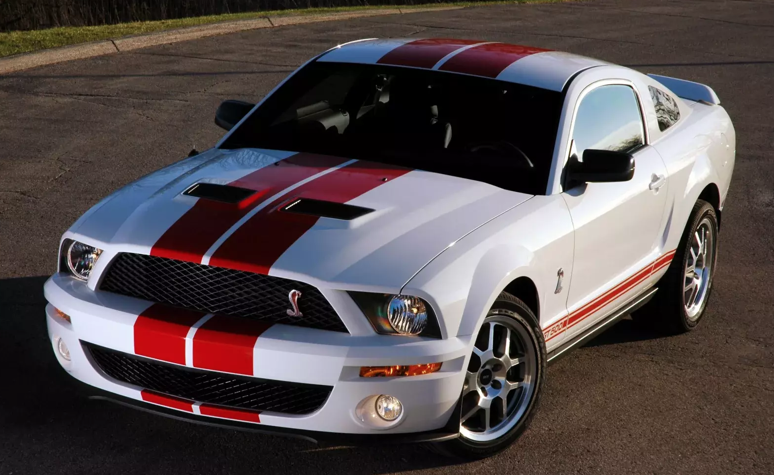 2007 GT500 Appearance Package