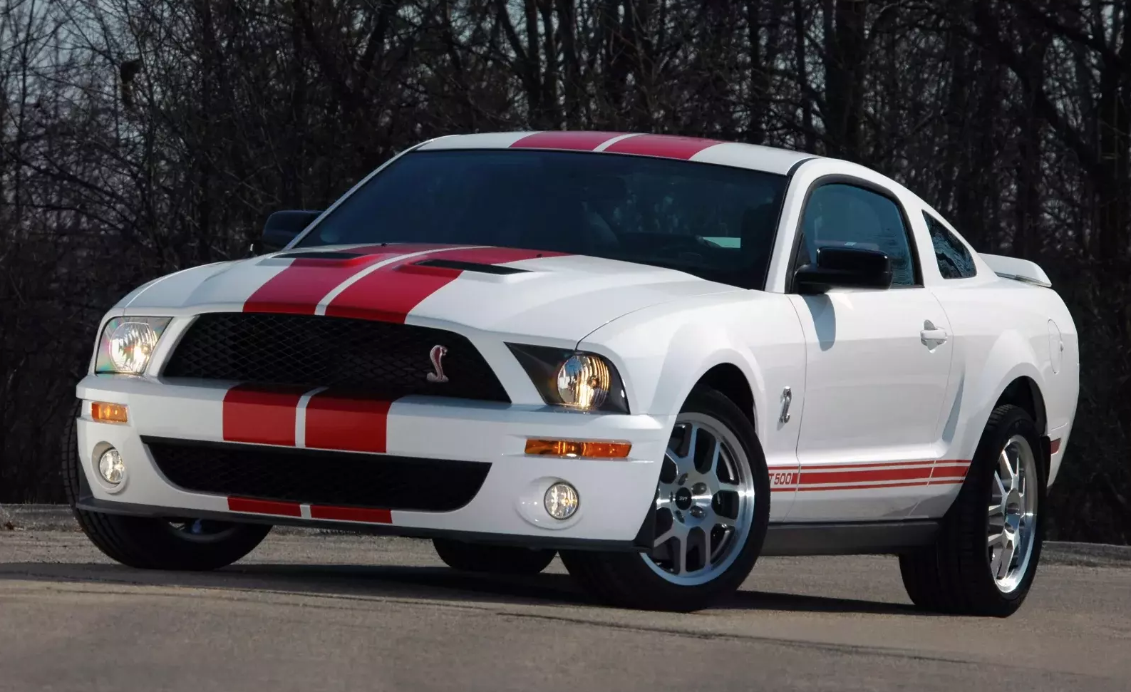 2007 GT500 Appearance Package