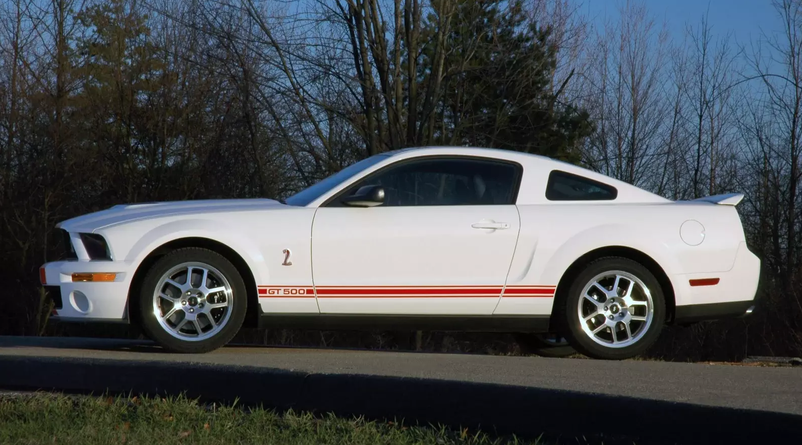 2007 GT500 Appearance Package