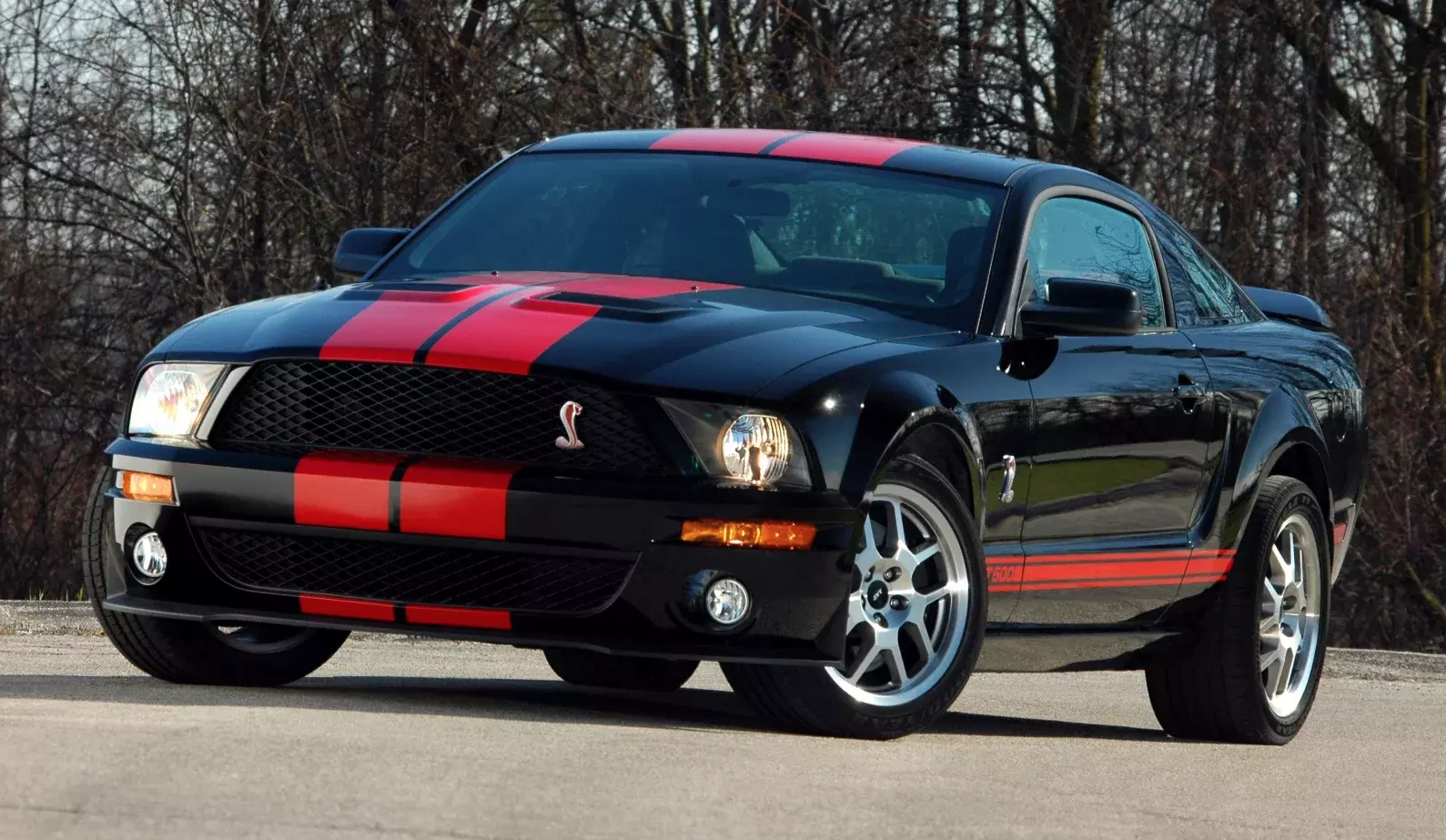 2007 GT500 Appearance Package