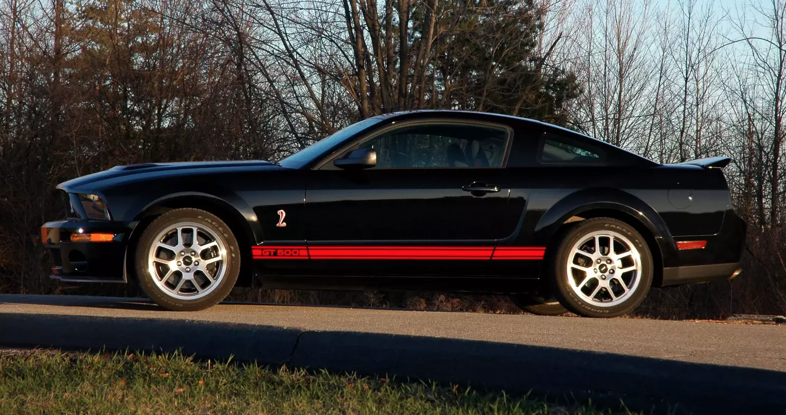 2007 GT500 Appearance Package
