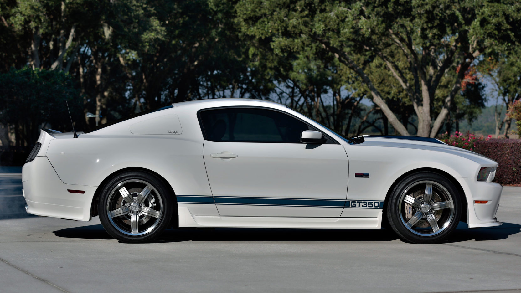 2011 Shelby GT350