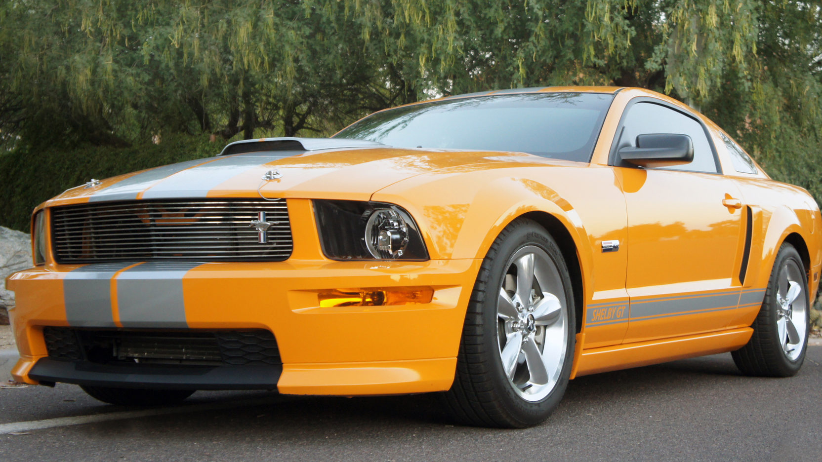 2008 Ford Mustang Shelby GT-C