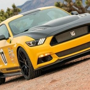 2016 Shelby Terlingua