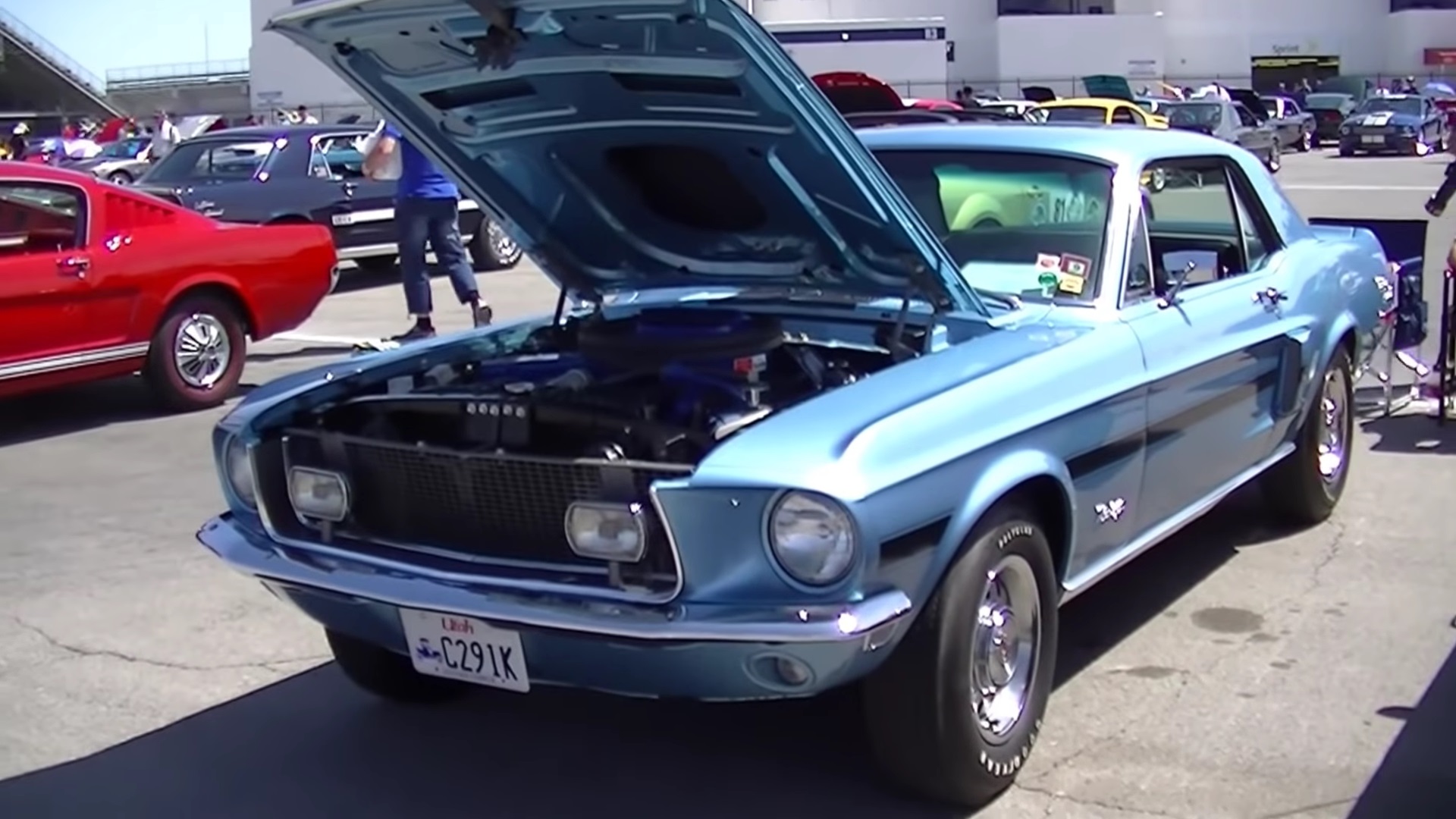 Rare 428 Cobra Jet California Special Mustang Walkaround