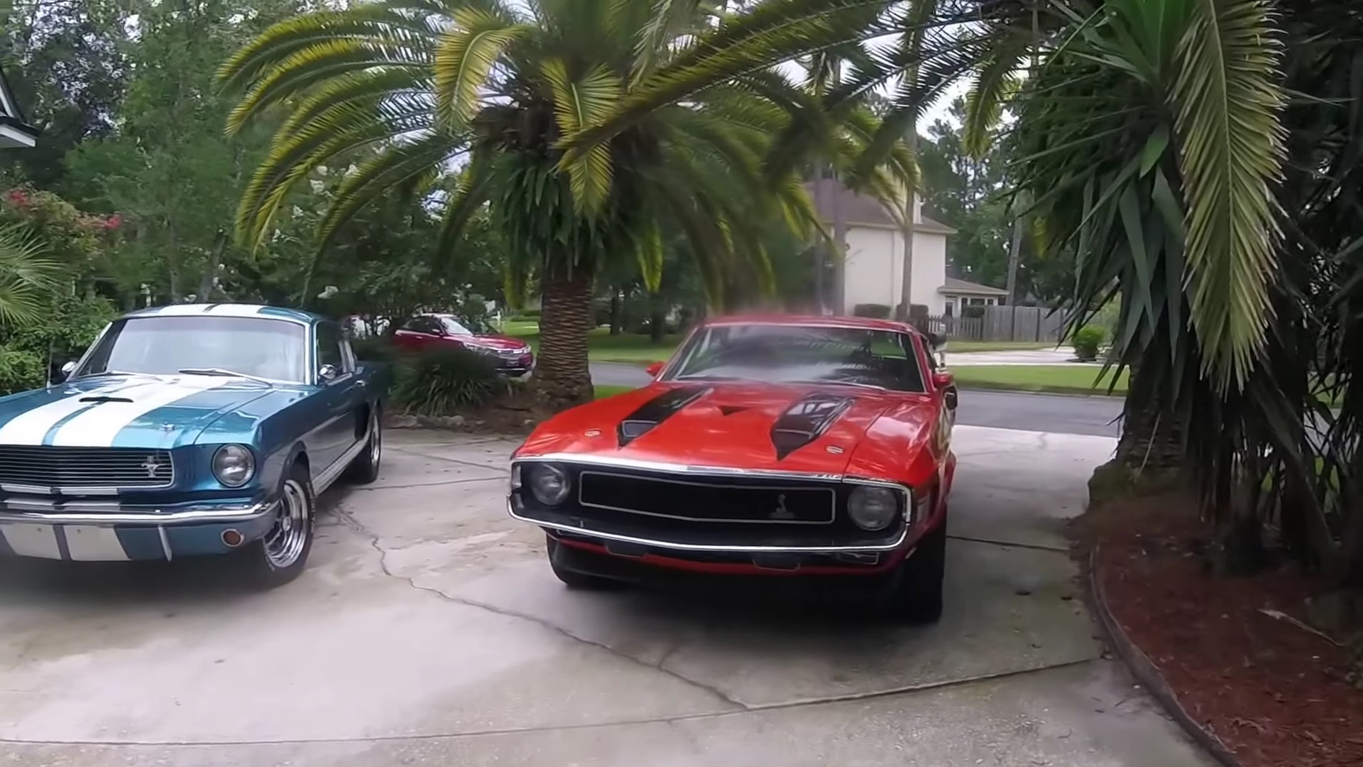Video: 1970 Shelby GT350 Cobra