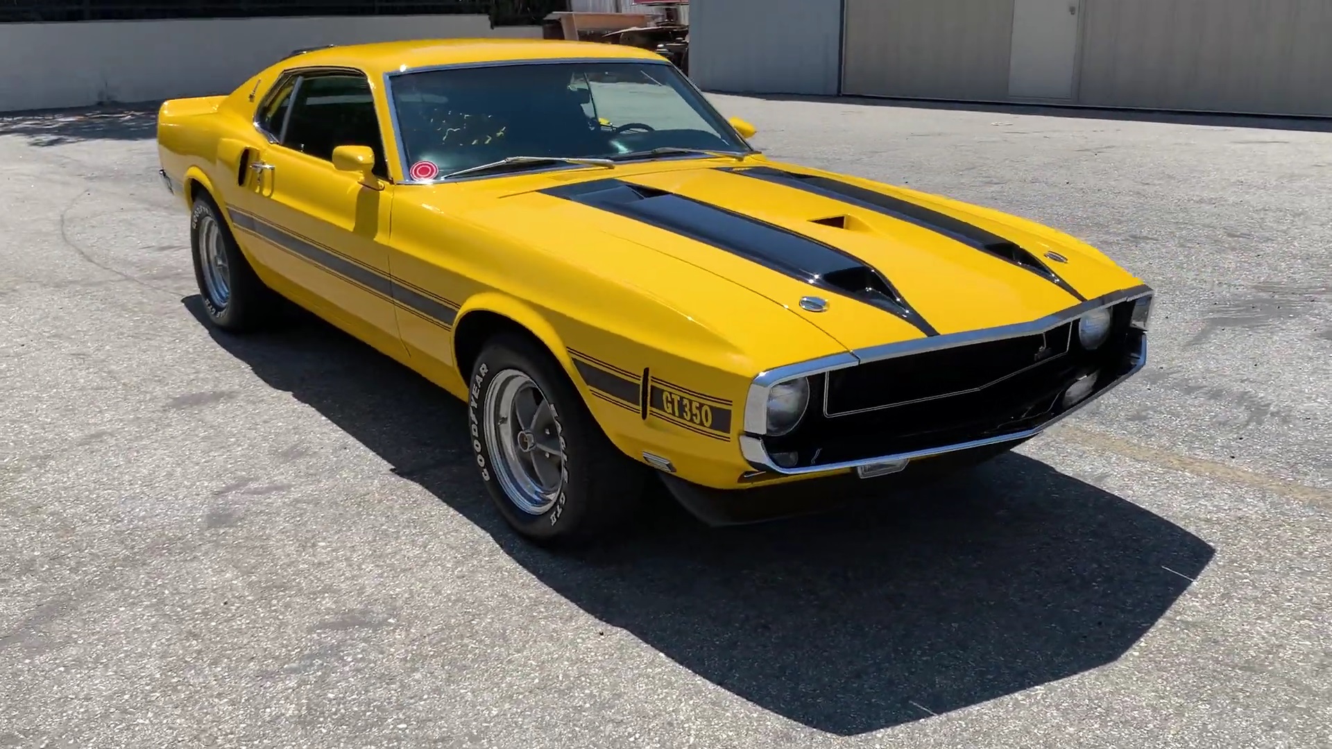 1970 Shelby GT350 Walkaround + Start Up