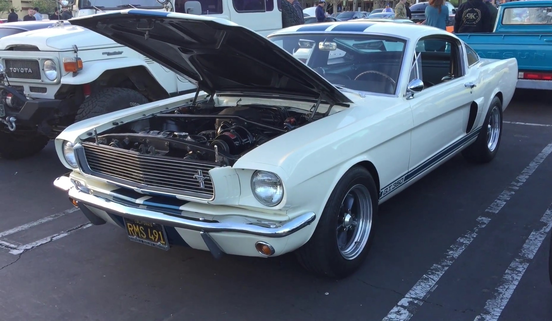 1966 Shelby Mustang GT350 Walkaround