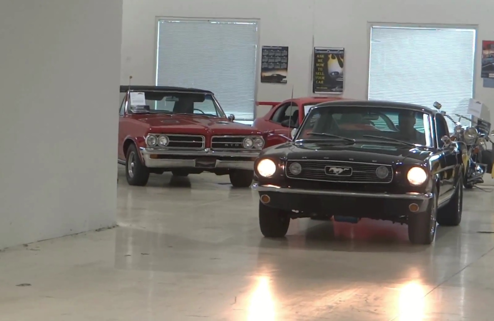 1966 Ford T5 (Mustang) Walkaround