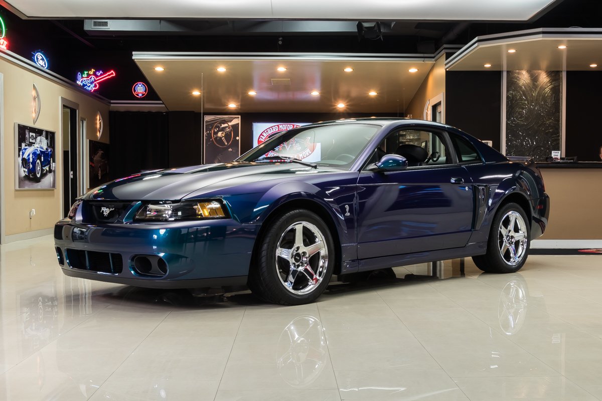 Video: 2004 Ford Mustang SVT Cobra In-Depth Tour