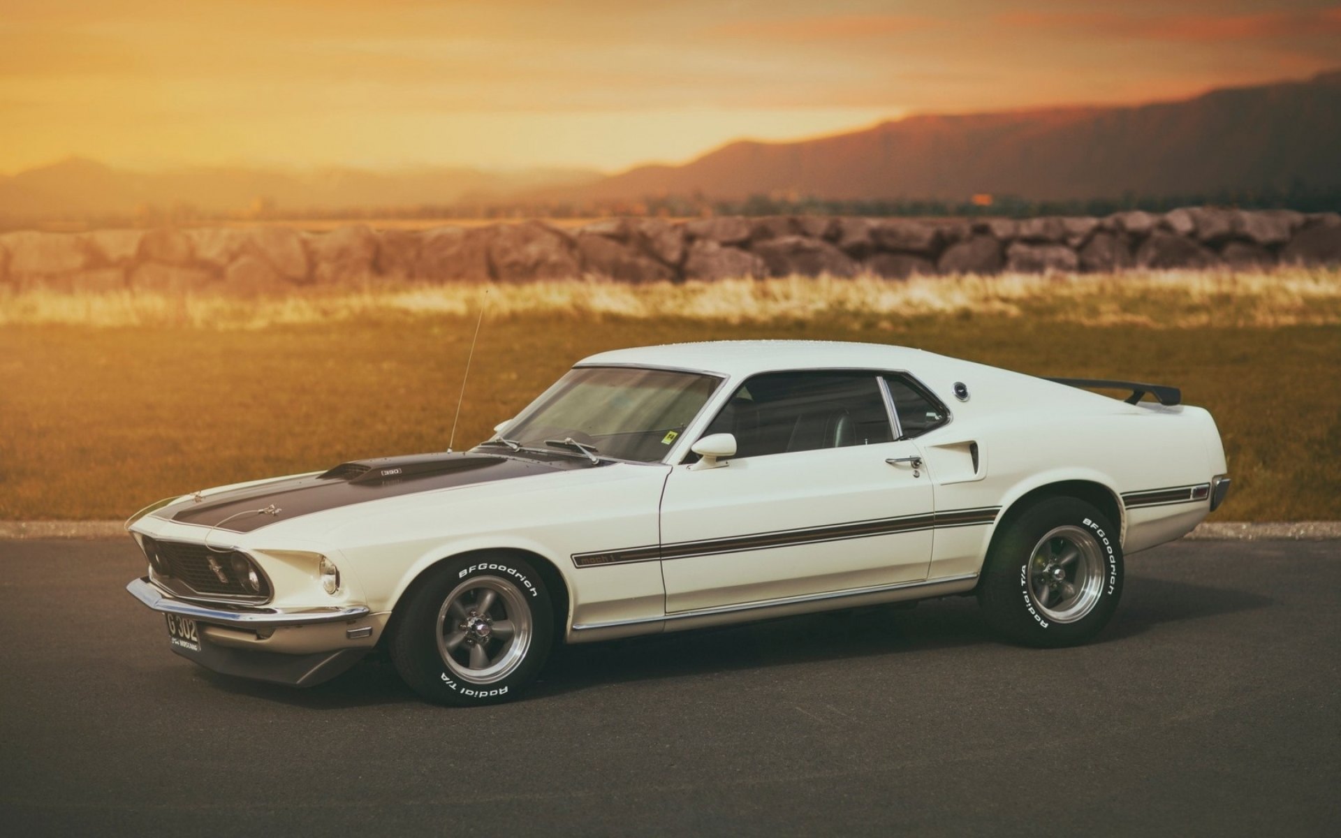 Ford Mustang 1969 Fastback Wallpaper