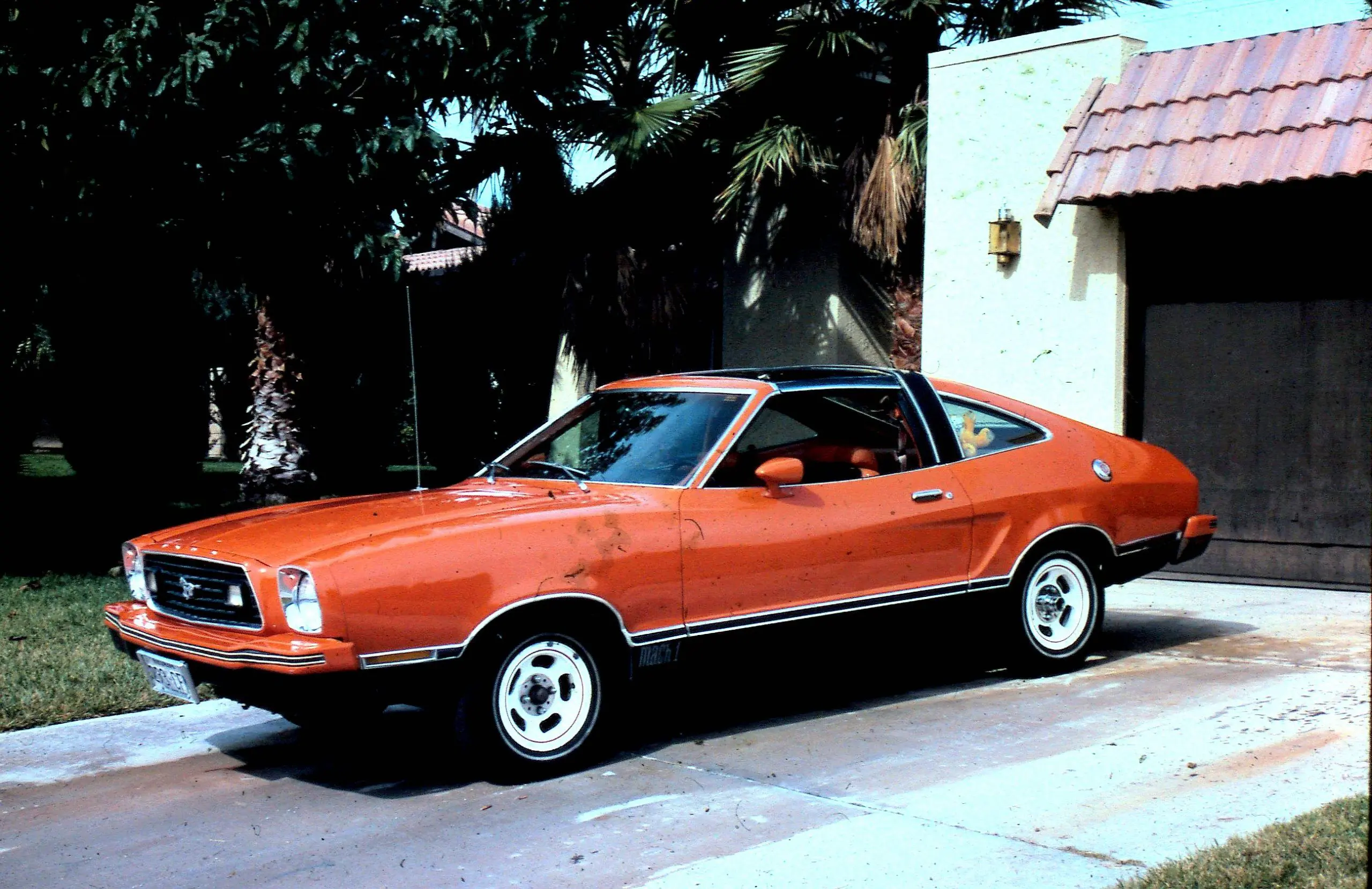 1978 Ford Mustang Mach 1 Wallpapers | MustangSpecs.com
