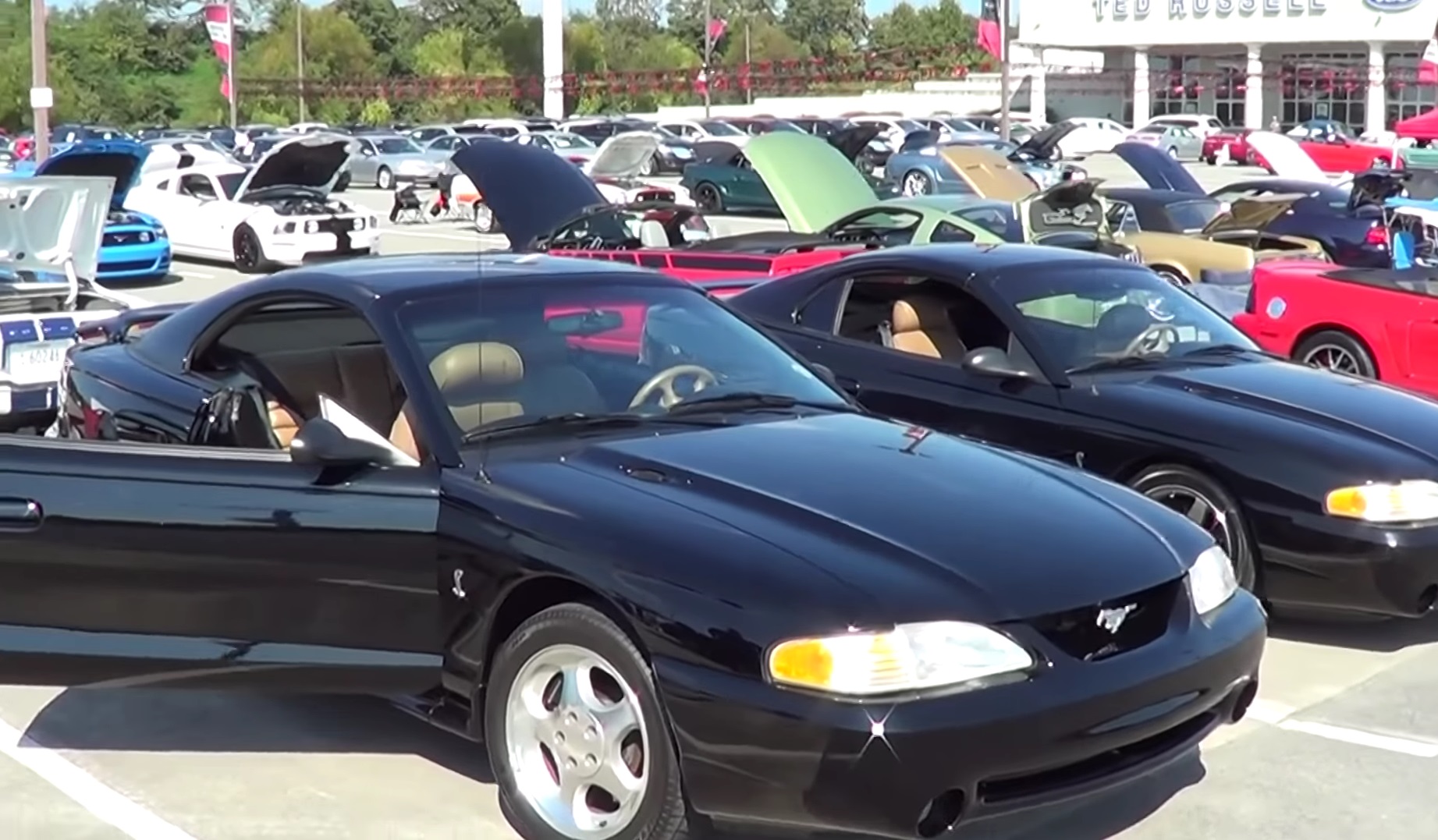 Video: 1995 Ford Mustang SVT Cobra HardTop/Convertible Overview