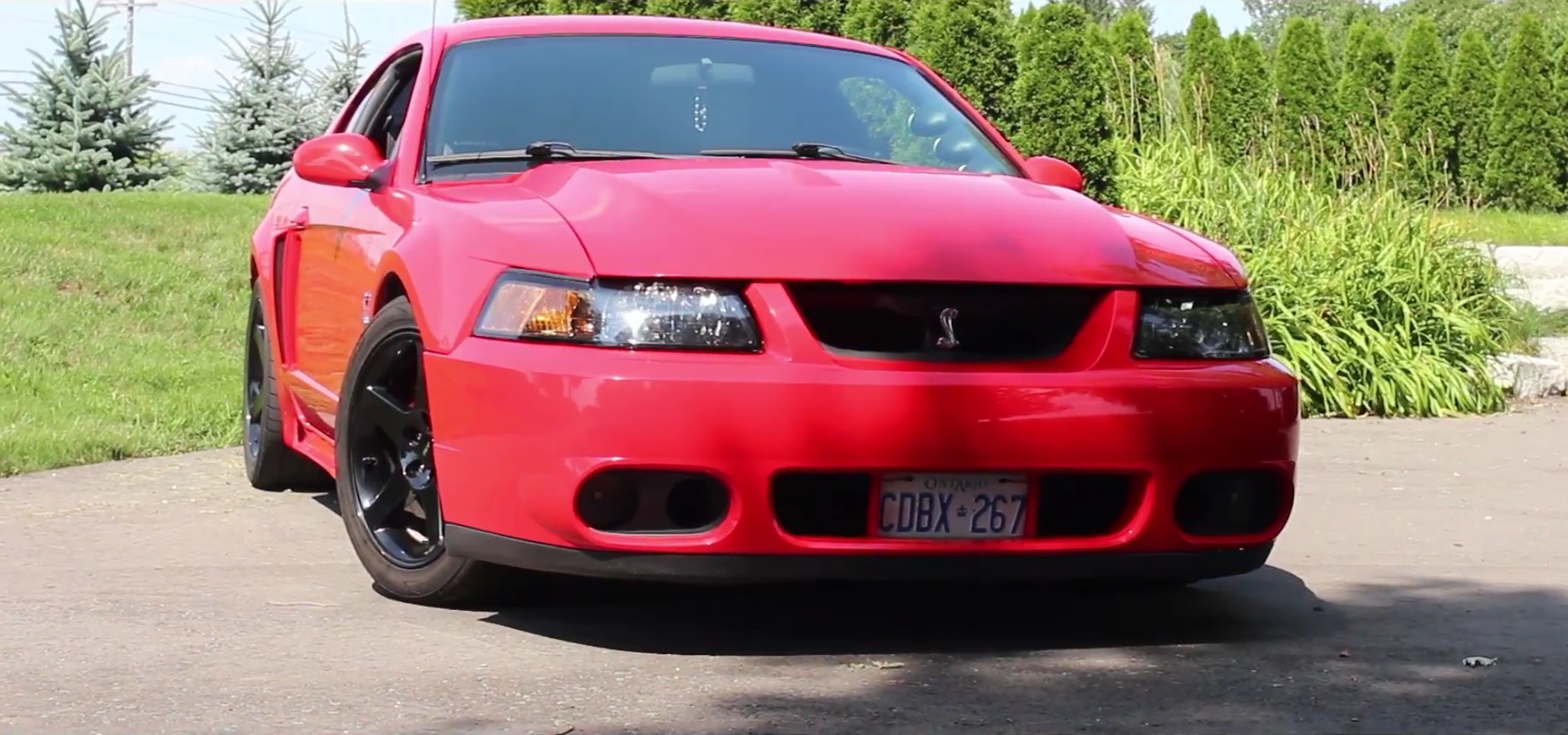 Video: 2001 Ford Mustang SVT Cobra In-Depth Tour