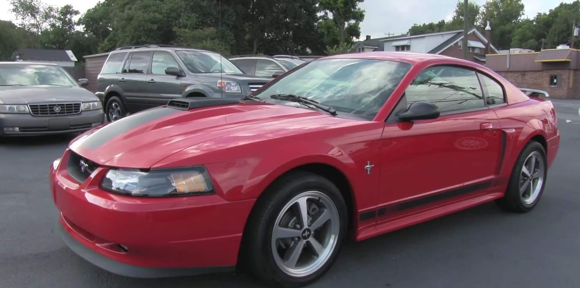 Video: Detailed Look At A 2003 Ford Mustang Mach 1