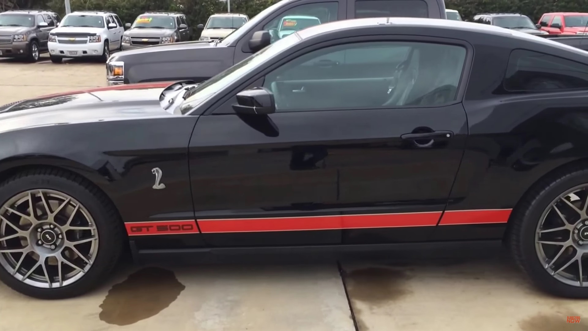Video: 2012 Ford Mustang Shelby GT500 Startup + Exhaust Sound