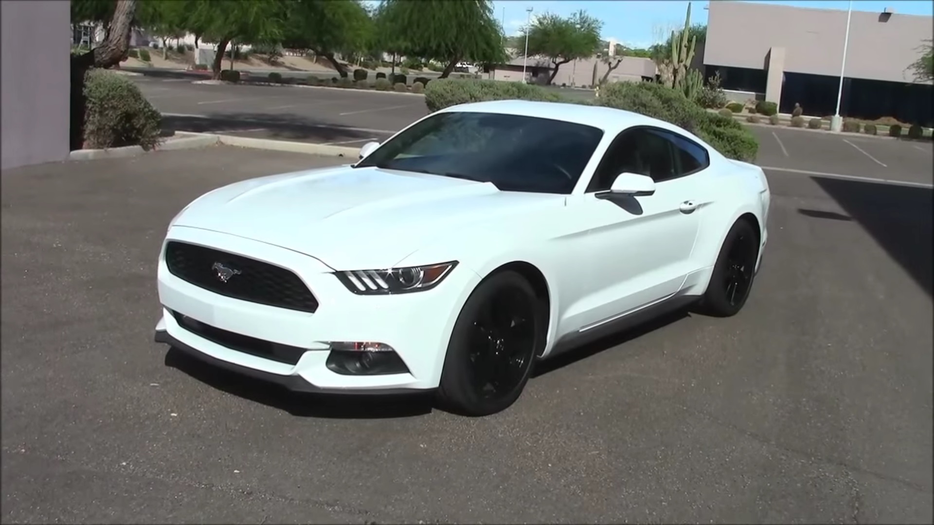 Video: 2015 Ford Mustang EcoBoost -Performance & Fuel Consumption Test