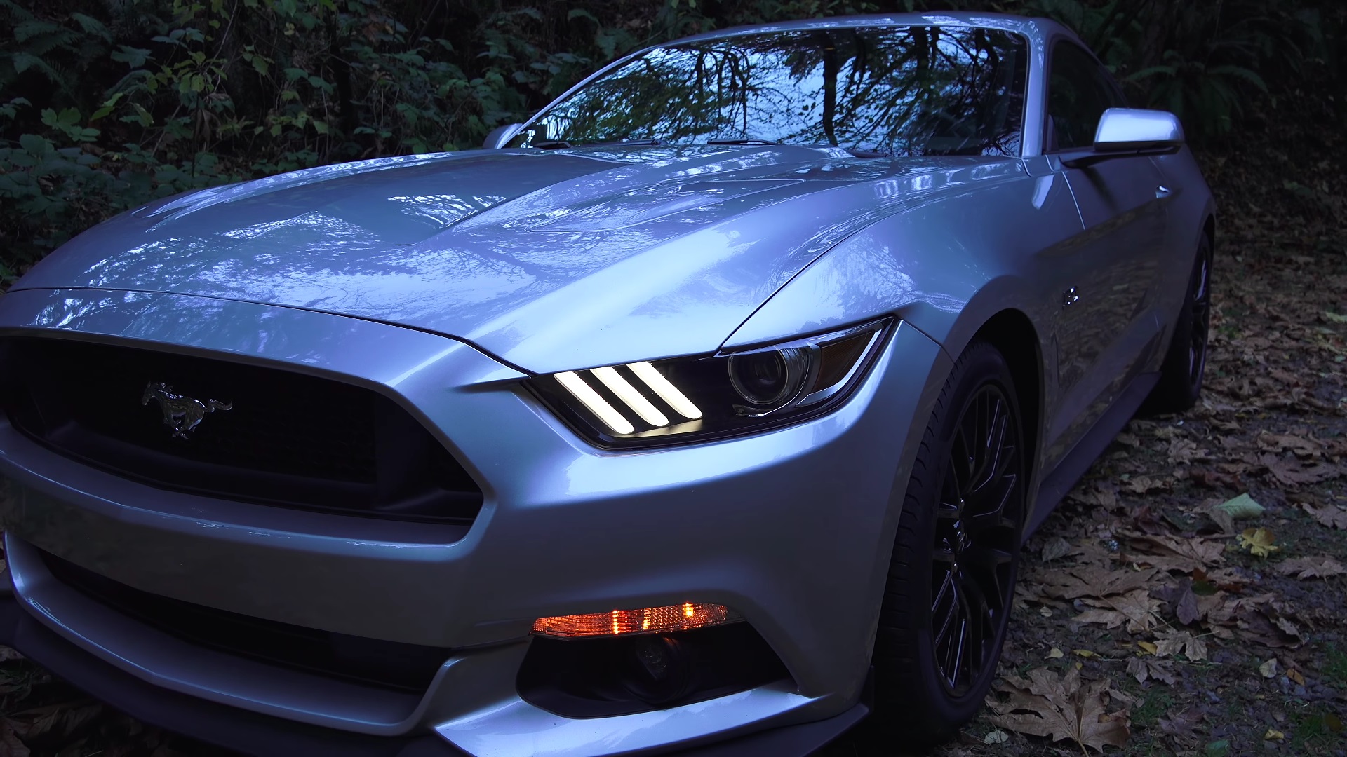 Video: 2015 Ford Mustang GT Premium - Review & Test Drive