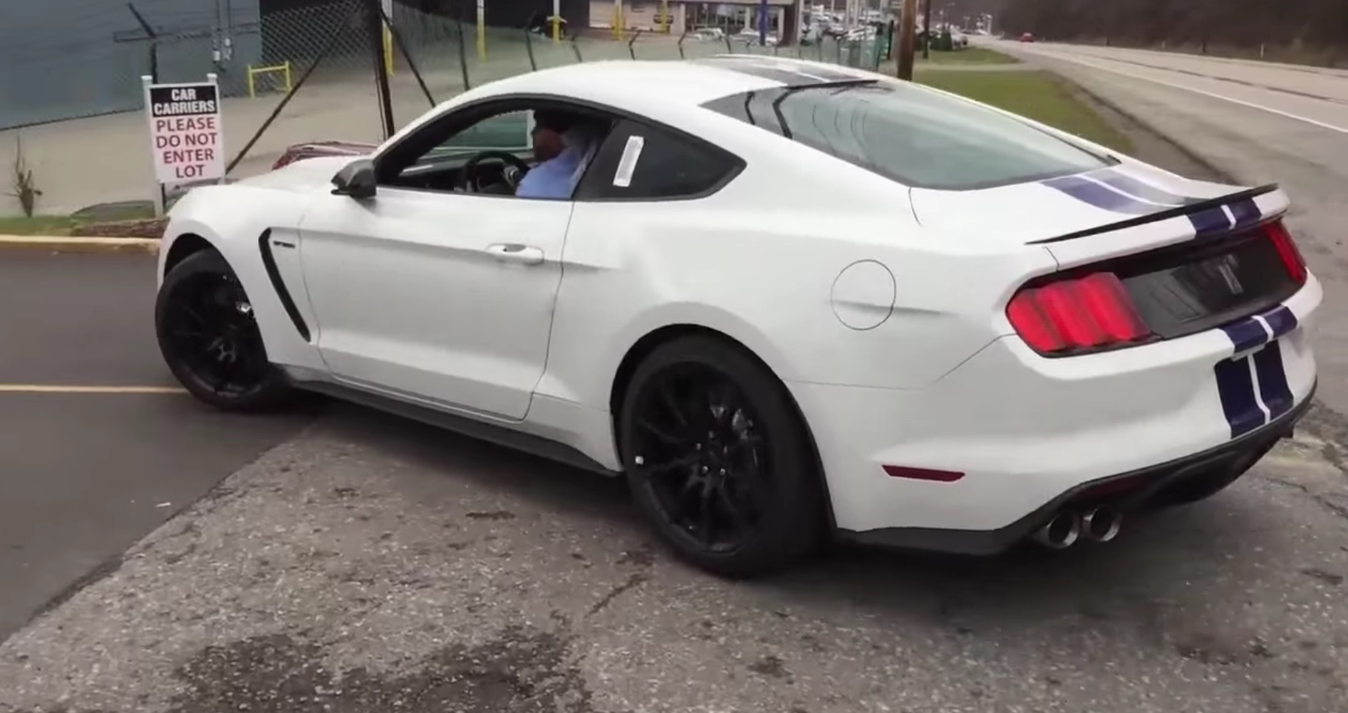 video 2016 ford mustang shelby gt350